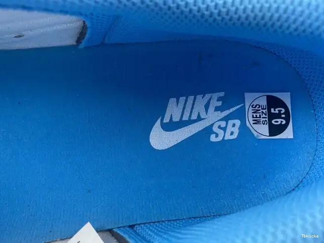 Rep TBK Jordan CJ7891-401 x Low Air Nike SB 1 UNC 0610